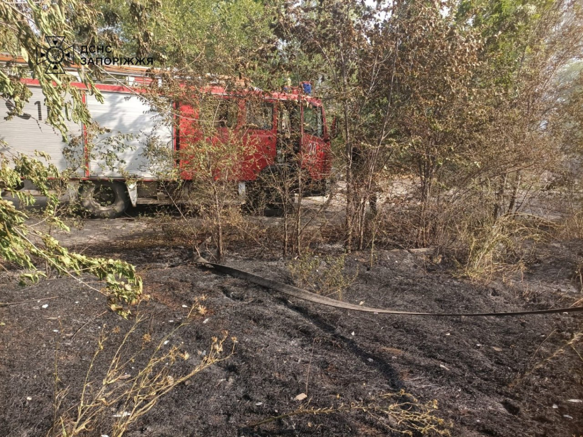 Обстріли спричинили масштабні пожежі — вогонь знищив поле ячменю під Запоріжжям (фото, відео)