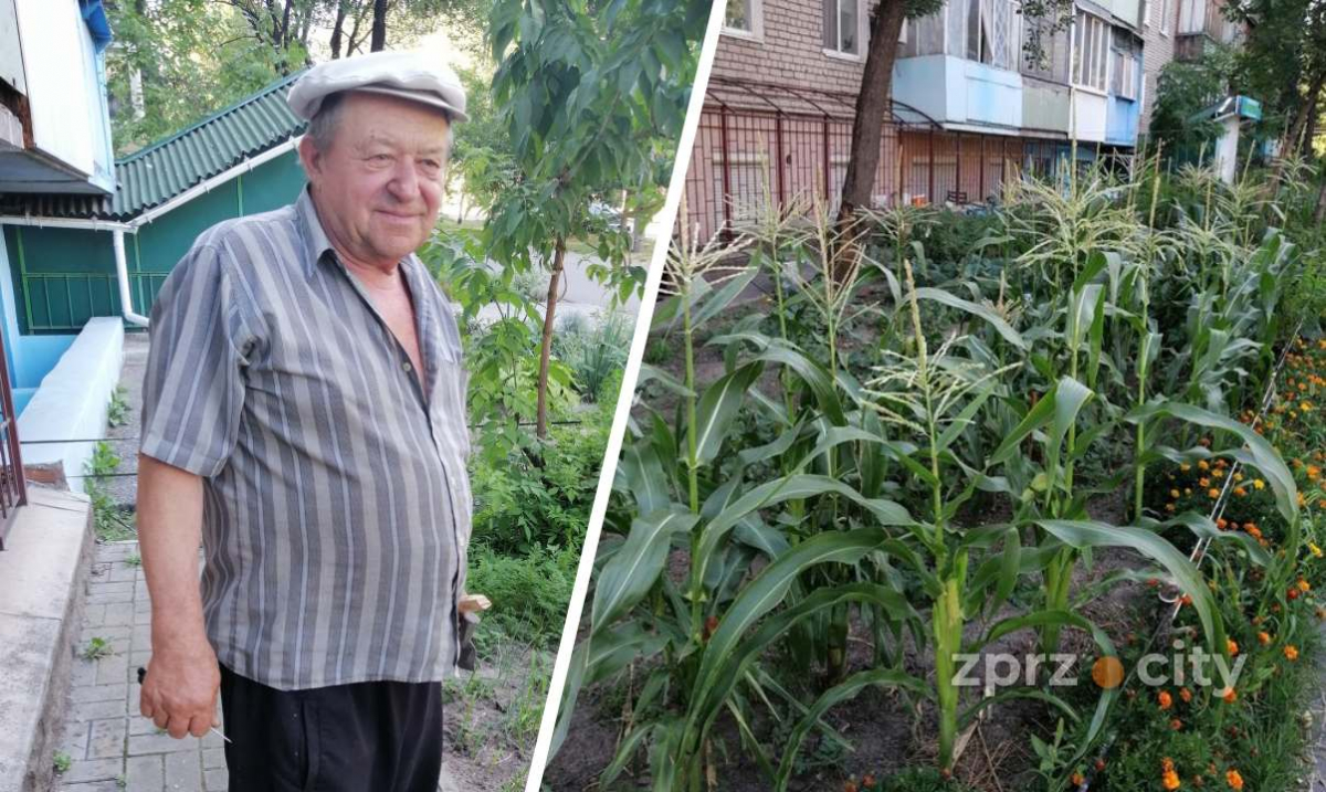 У Запоріжжі переселенець перетворив пустир на квітучий город (фото)