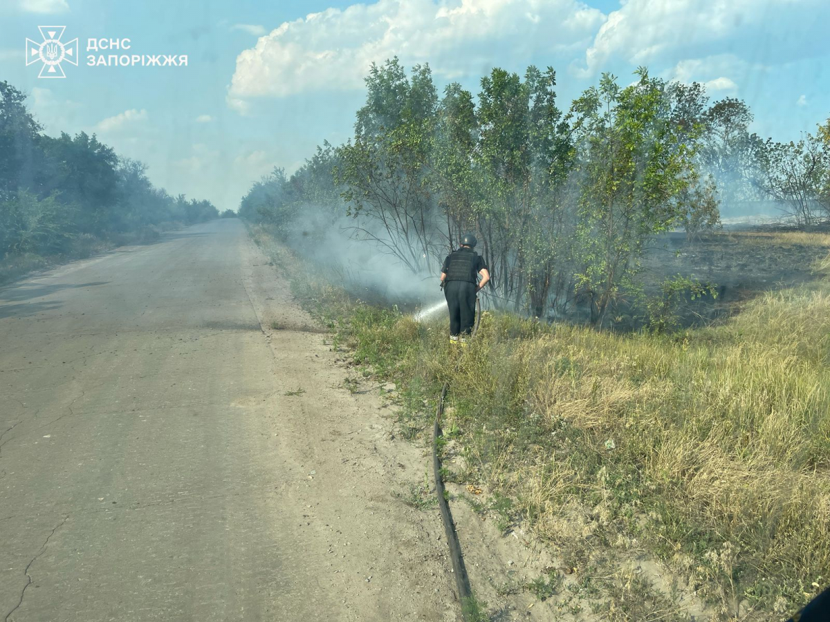 У Запорізькій області горів будинок і рослинність - фото наслідків ворожих обстрілів
