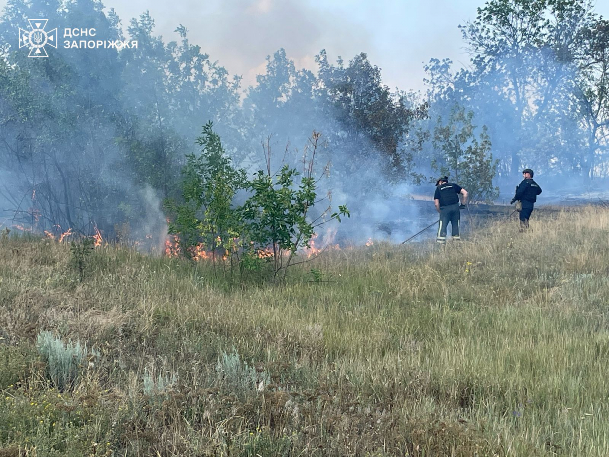 У Запорізькій області горів будинок і рослинність - фото наслідків ворожих обстрілів