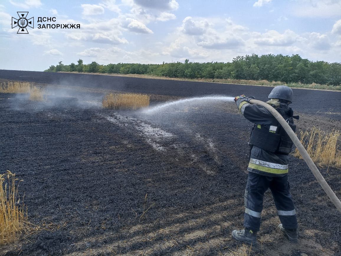 В селі Запорізького району сталась масштабна пожежа - фото