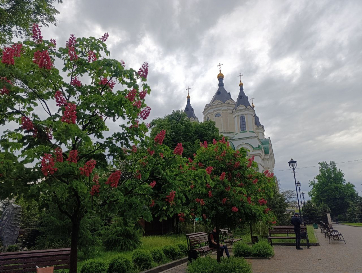 Від народних зборів до базару - історія площі, що стала серцем старого Олександрівська