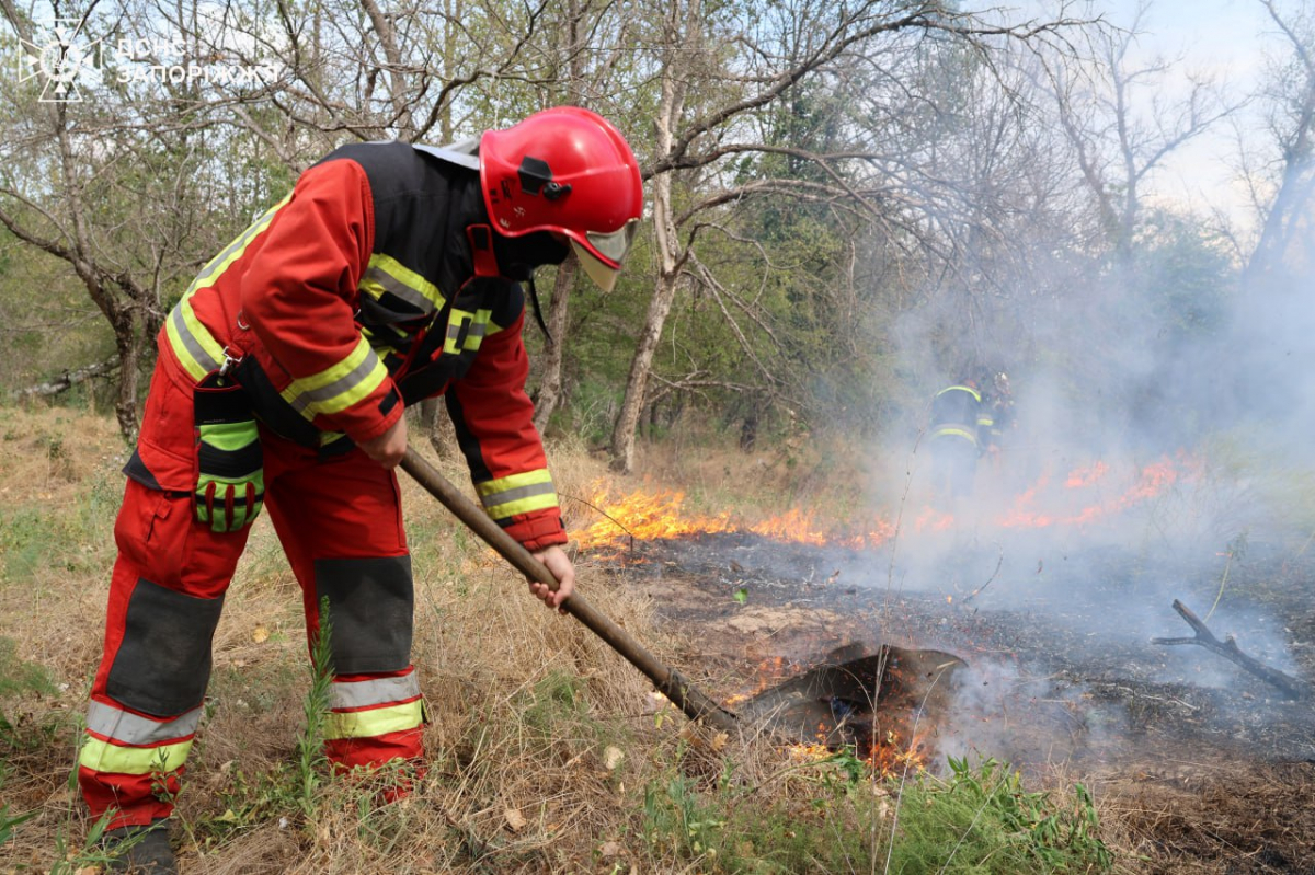 Безвідповідальність відвідувачів призвела до пожежі  – у Запоріжжі другий день поспіль триває боротьба з вогнем (фото)