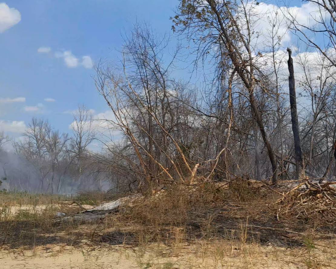 Безвідповідальність відвідувачів призвела до пожежі  – у Запоріжжі другий день поспіль триває боротьба з вогнем (фото)