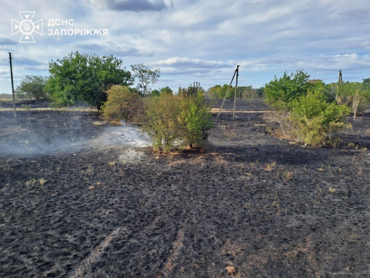 Дачі в полум’ї - на Запоріжжі під час пожежі загинула жінка (фото)