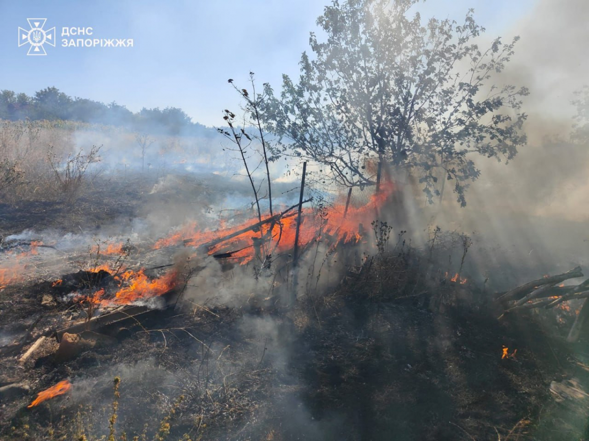 Горіли житлові будинки - внаслідок ворожого обстрілу в Оріхові сталась масштабна пожежа - фото