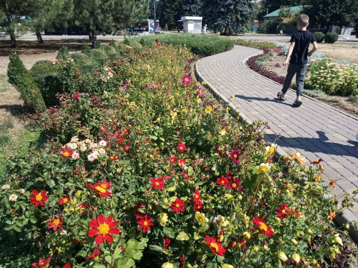 Яка погода очікується у Запоріжжі в кінці робочого тижня - прогноз