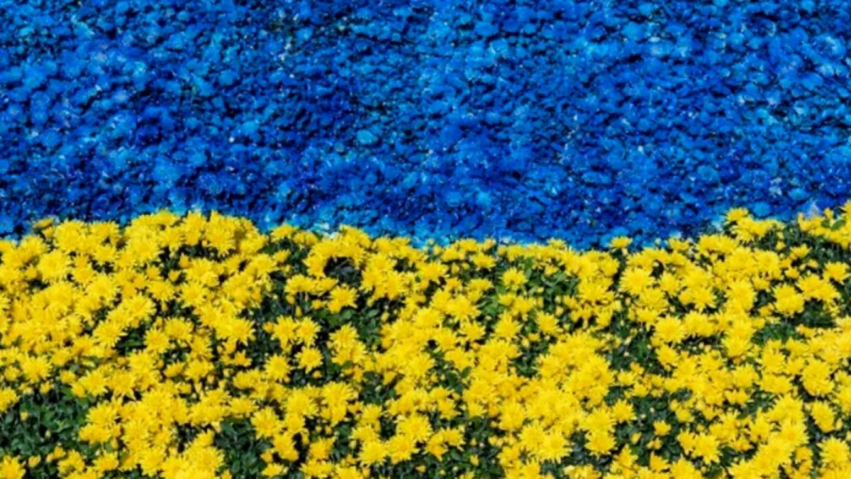 Культурний фронт: які заходи можна відвідати у Запоріжжі до Дня Незалежності 