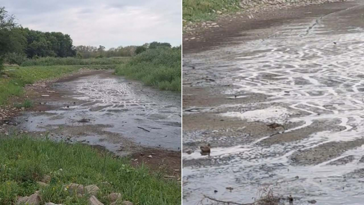 Озеро зникло – у парку Перемоги в Запоріжжі водойма повністю пересохла (відео)