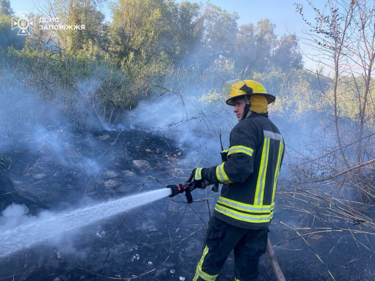 Палало лісництво - через обстріли у Запорізькій області сталися масштабні пожежі (фото)