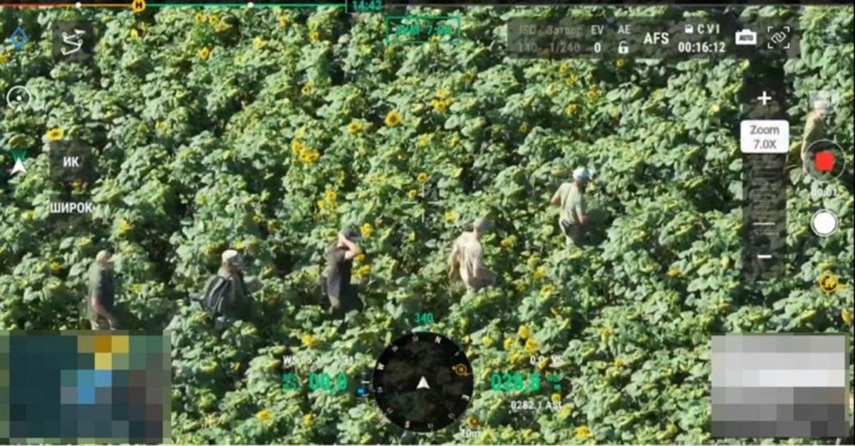 Прогулянка через поле соняхів - запоріжця та компанію затримали за крок до кордону з Молдовою (фото, відео)