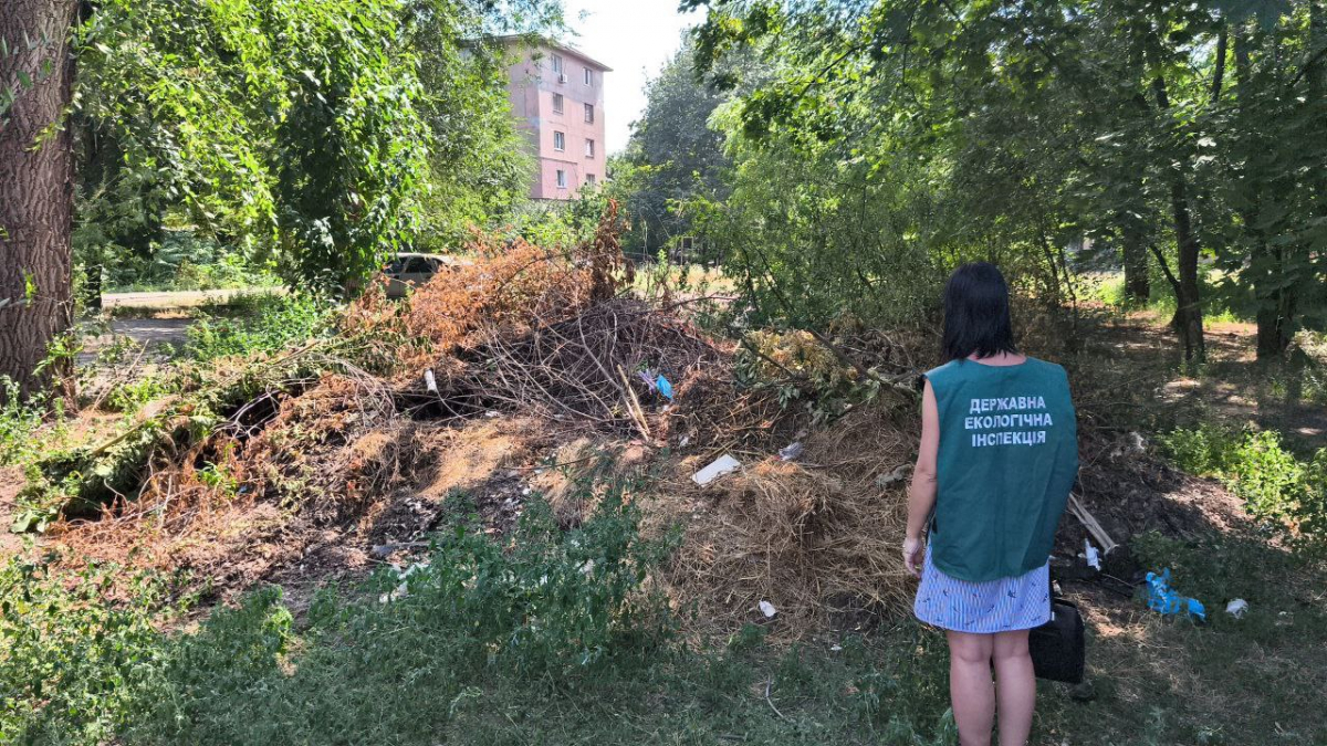 У центрі Запоріжжя біля багатоповерхівки виявили стихійне сміттєзвалище (фото)