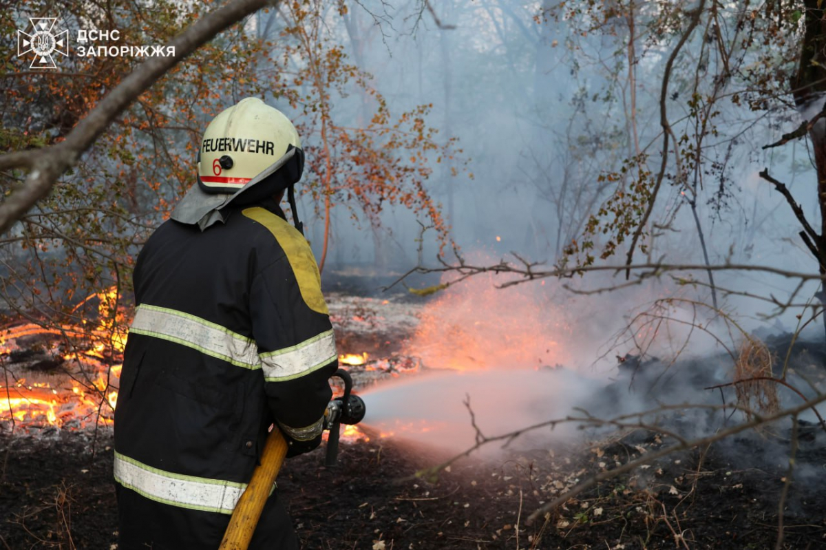 Вогонь на Хортиці - рятувальники вже другу добу борються з наслідками масштабної пожежі (фото)