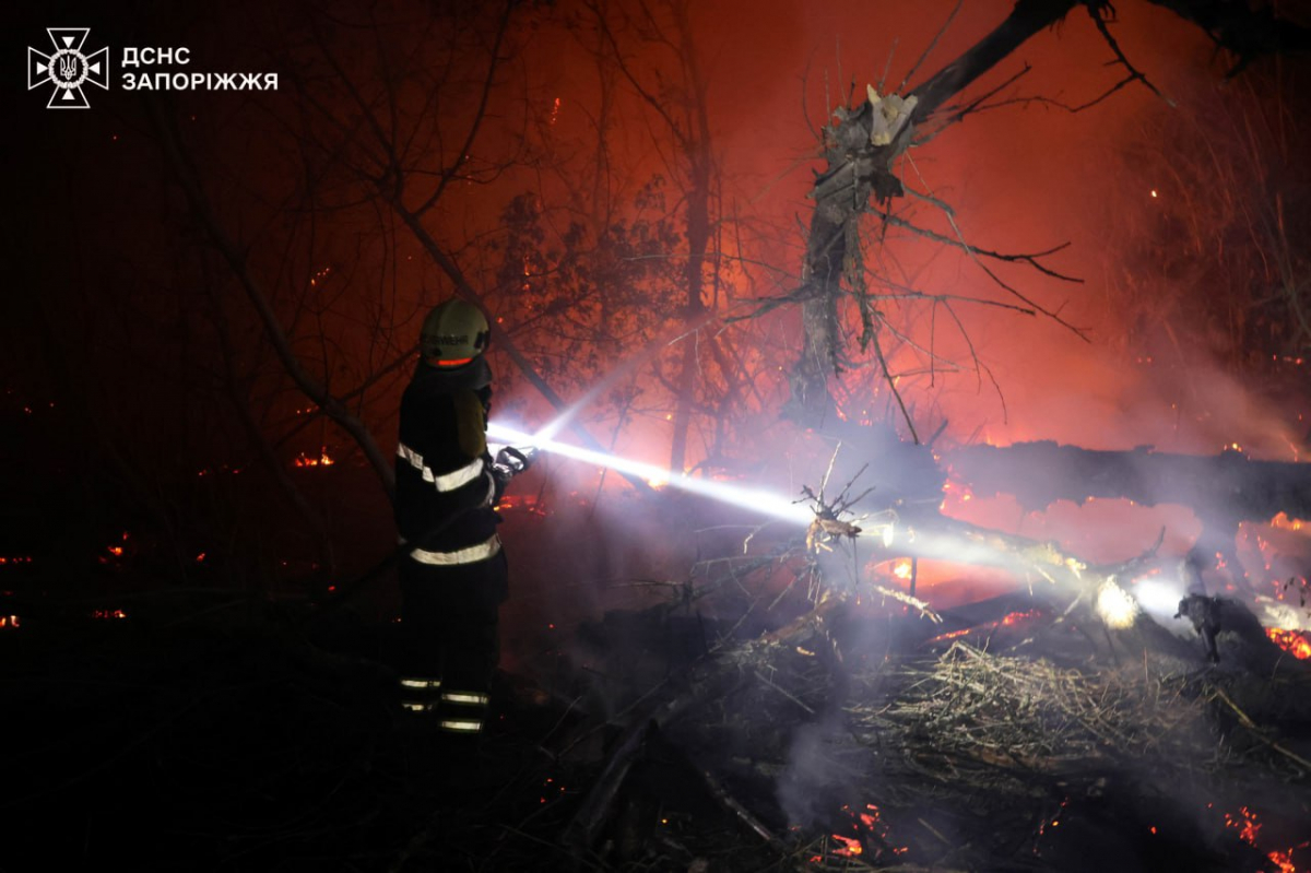Вогонь на Хортиці - рятувальники вже другу добу борються з наслідками масштабної пожежі (фото)