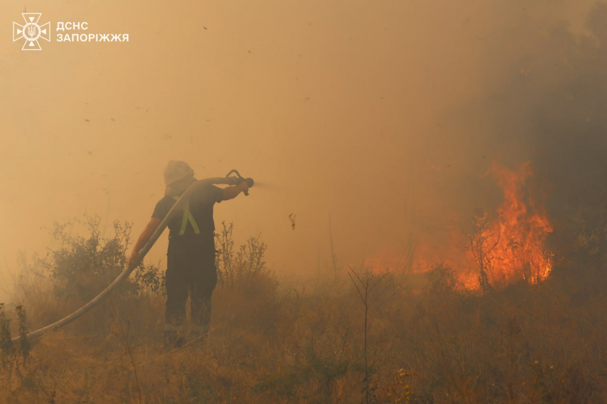 Вогонь на Хортиці - рятувальники вже другу добу борються з наслідками масштабної пожежі (фото)