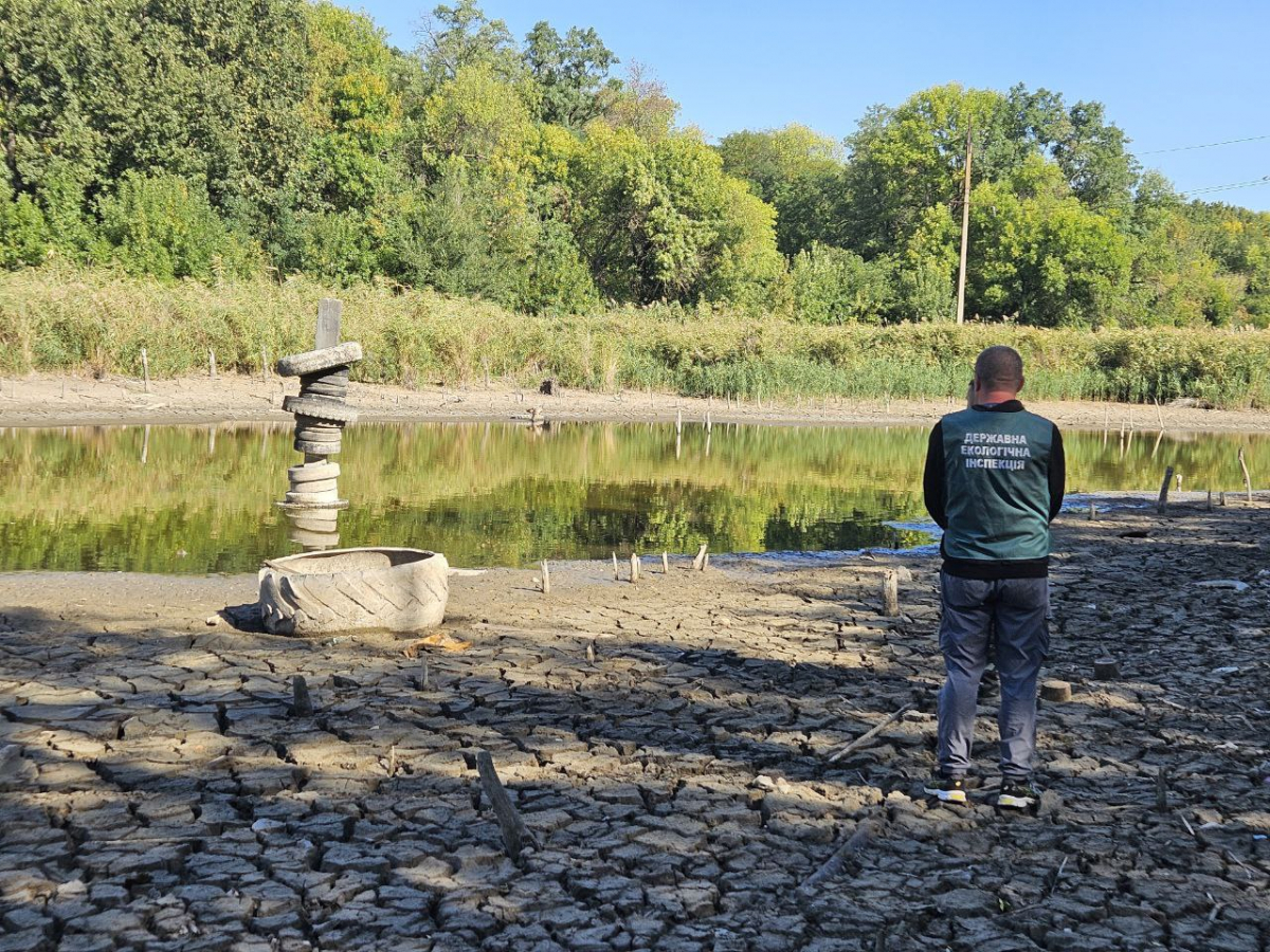 Мор риби на ставку — екологи перевірили воду біля Запоріжжя-Лівого (фото, відео)