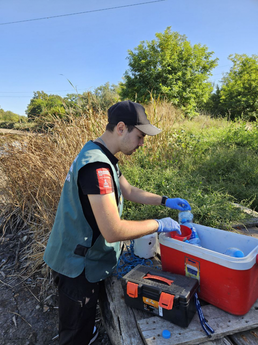 Мор риби на ставку — екологи перевірили воду біля Запоріжжя-Лівого (фото, відео)