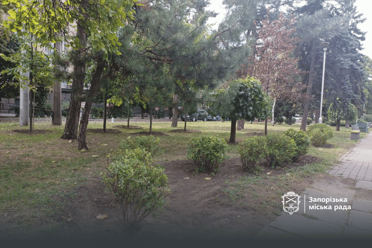 Орнамент з шести тисяч квітів та кущі декоративних форм - як у Запоріжжі виглядає один з популярних скверів (відео, фото)