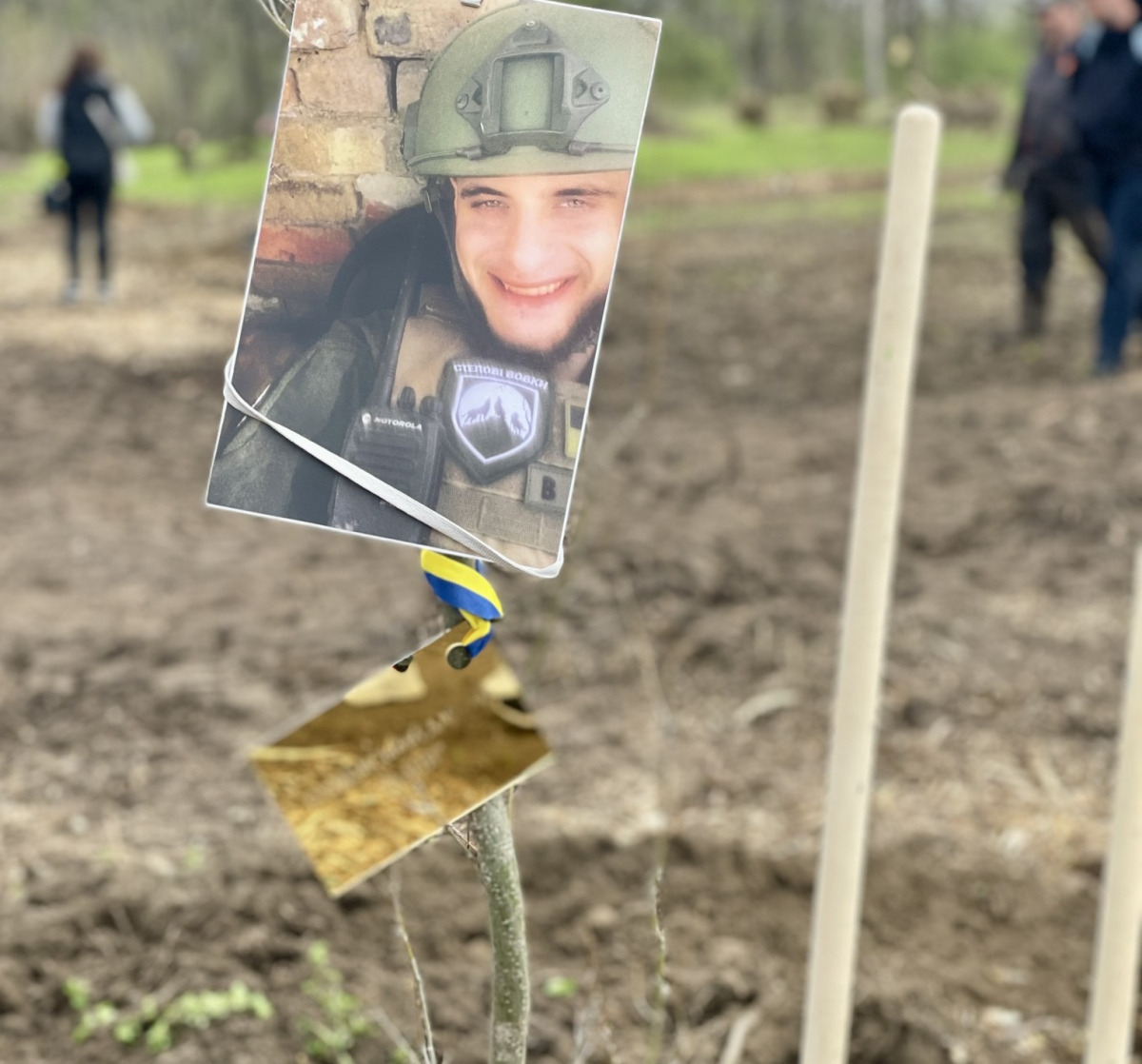 У Запоріжжі на Хортиці висадять 300 дубів - восени у меморіальному парку оновлять дерева (відео)