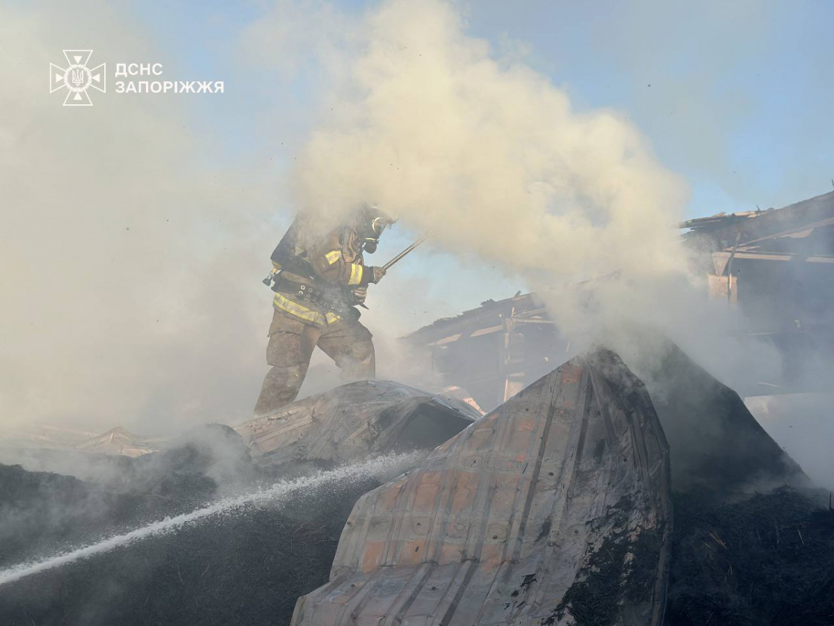 У Запорізькому районі зайнявся склад із сіном — рятувальники боролися з масштабною пожежею (фото, відео)