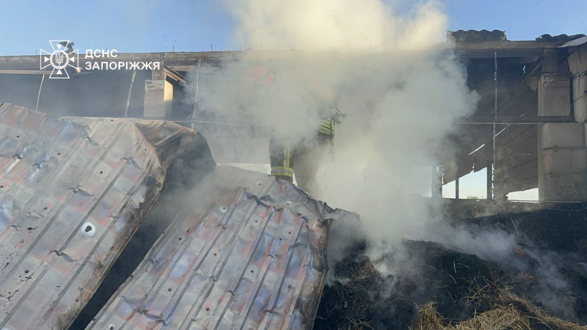 У Запорізькому районі зайнявся склад із сіном — рятувальники боролися з масштабною пожежею (фото, відео)