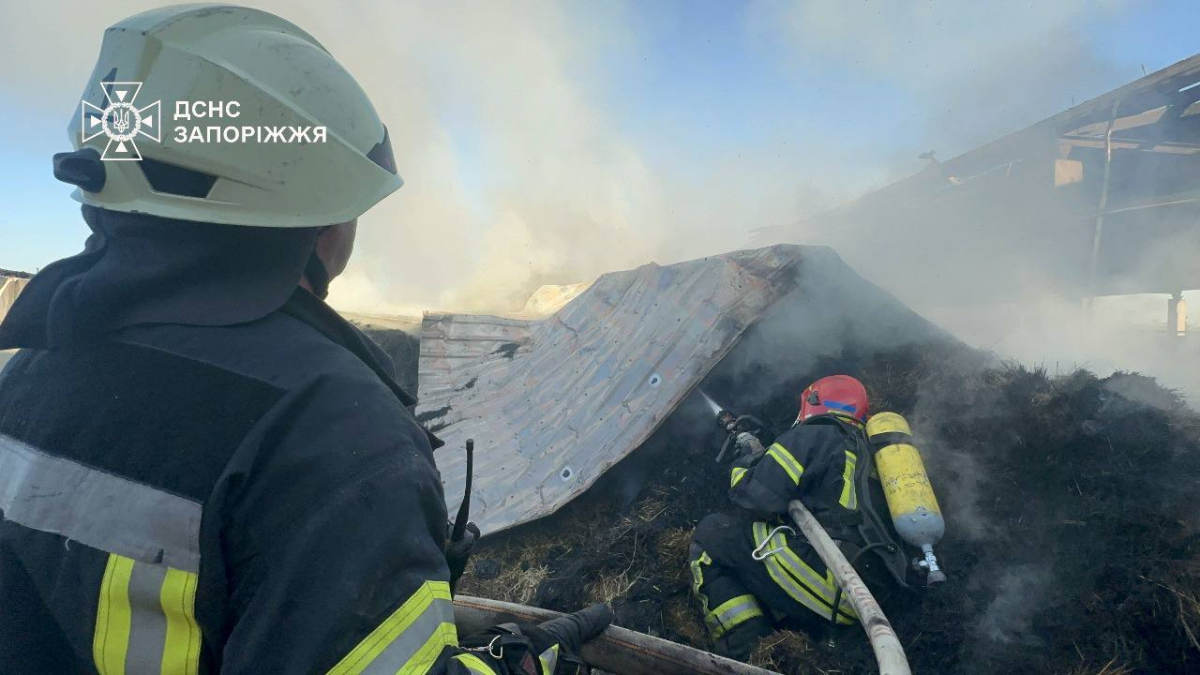 У Запорізькому районі зайнявся склад із сіном — рятувальники боролися з масштабною пожежею (фото, відео)