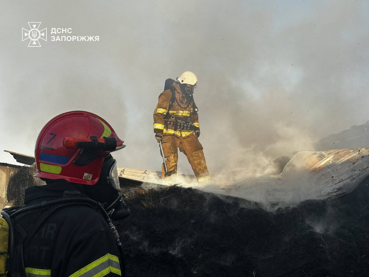 У Запорізькому районі зайнявся склад із сіном — рятувальники боролися з масштабною пожежею (фото, відео)