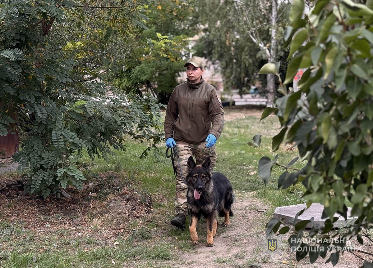 Відтягнув до смітника та вдарив ножем - у Запоріжжі товариш по чарці зарізав чоловіка (фото, відео)