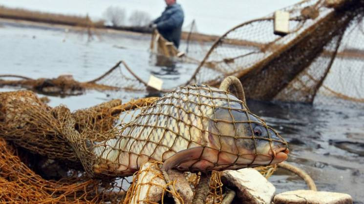 Біля бази відпочинку ловили рибу з порушеннями - у Запоріжжі двоє рибалок отримали штрафи (фото, відео)
