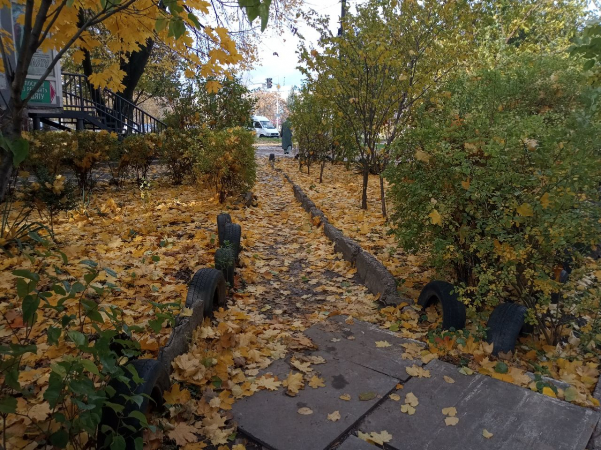 Якими у Запоріжжі будуть останні дні жовтня - прогноз погоди