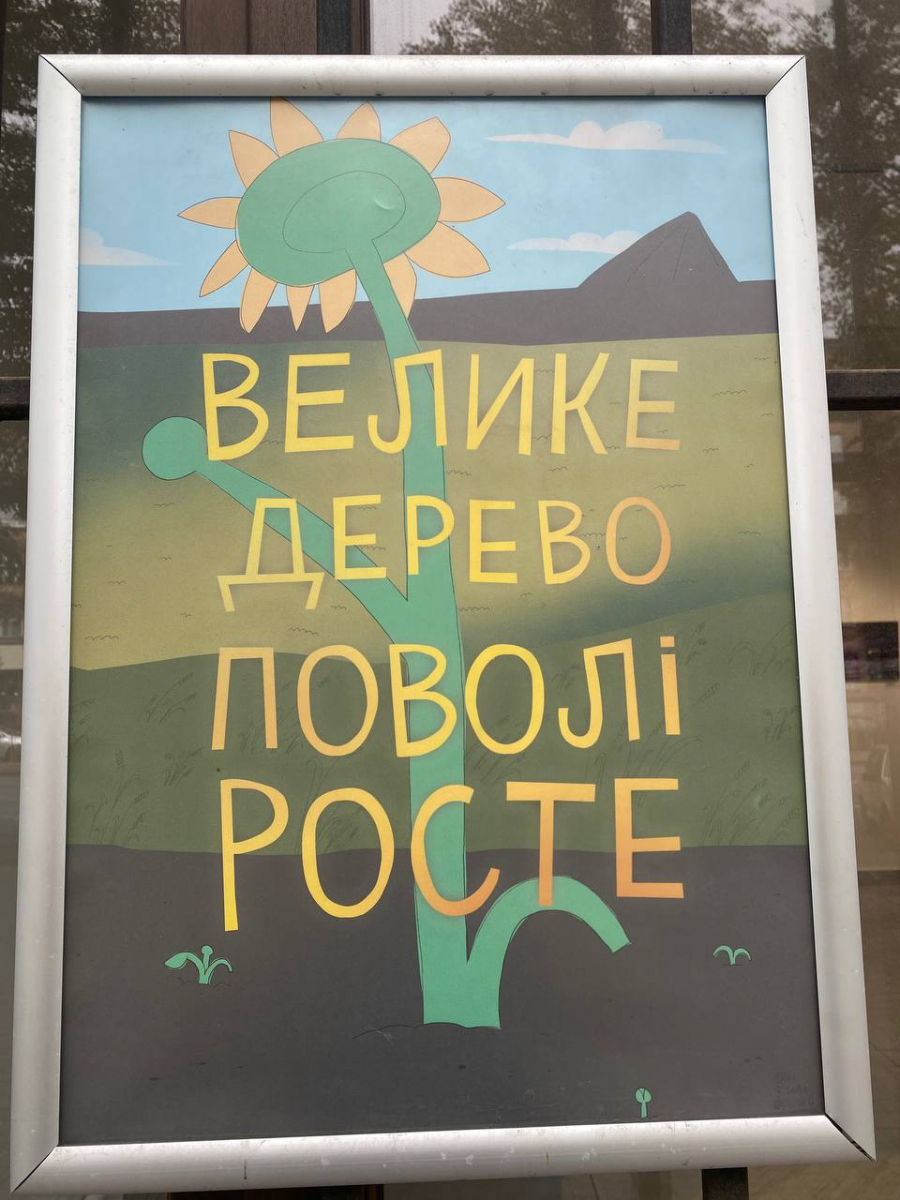 "Малювання для мене — це форма турботи": у Запоріжжі відкрилася виставка плакатів Юлі Піліюлі (фото)
