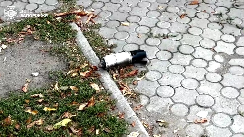 На Запоріжжі піротехніки ДСНС знешкодили касетні боєприпаси, якими росіяни обстріляли громаду (фото, відео)