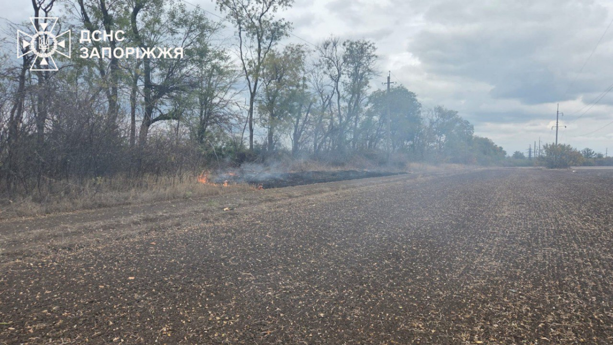 Нанесли понад пів тисячі ударів - у Запорізькій області ворожі обстріли спричинили пожежі у двох районах (фото)