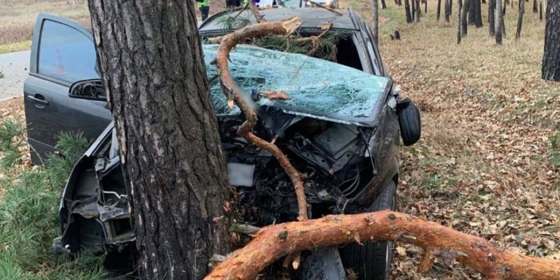 Пасажир загинув на місці - у Запоріжжі авто врізалося в дерево (фото, відео)
