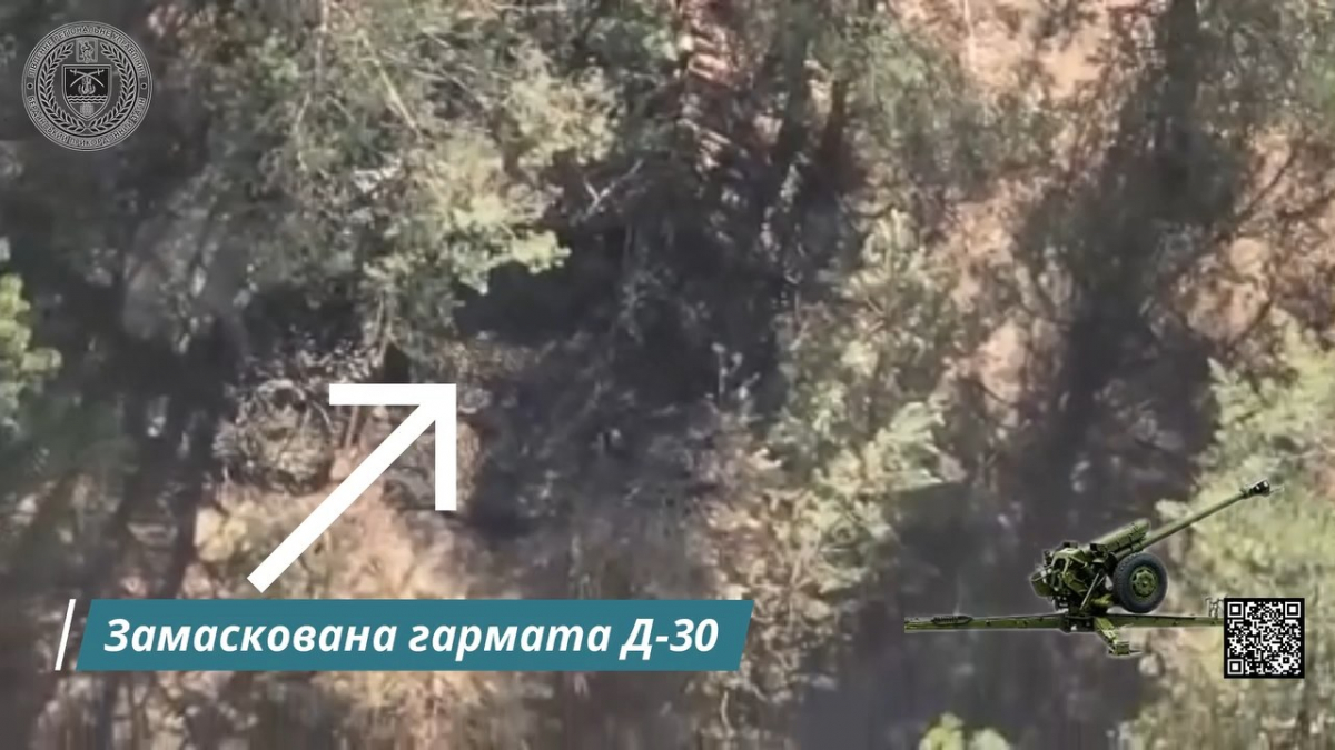 Прикордонники нищать ворога – на Запорізькому напрямку вразили одразу три цілі (відео)