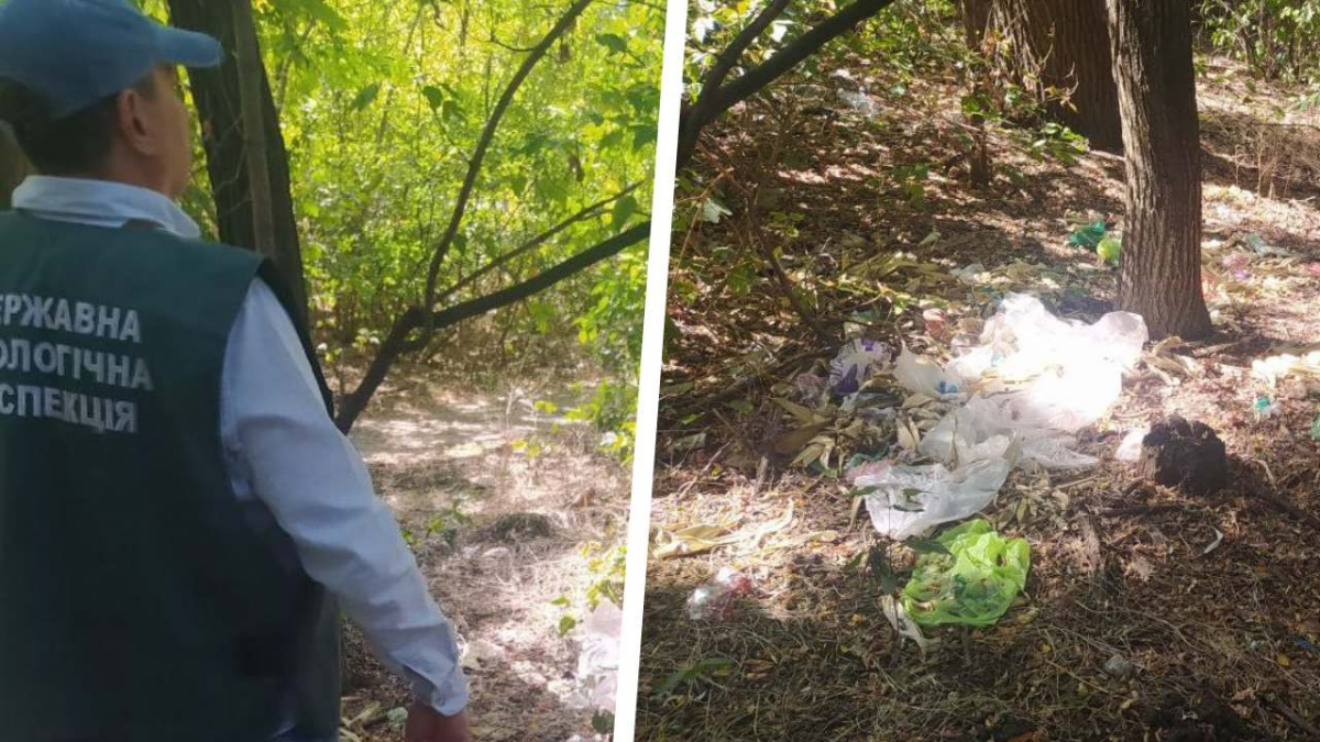 Стихійні смітники у лісосмузі – мешканці Запоріжжя поскаржились екологам (фото)