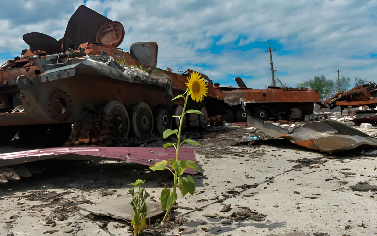 Сума збитків зростає щодня - екологи оцінили масштаби шкоди довкіллю Запорізької області, завданих війною