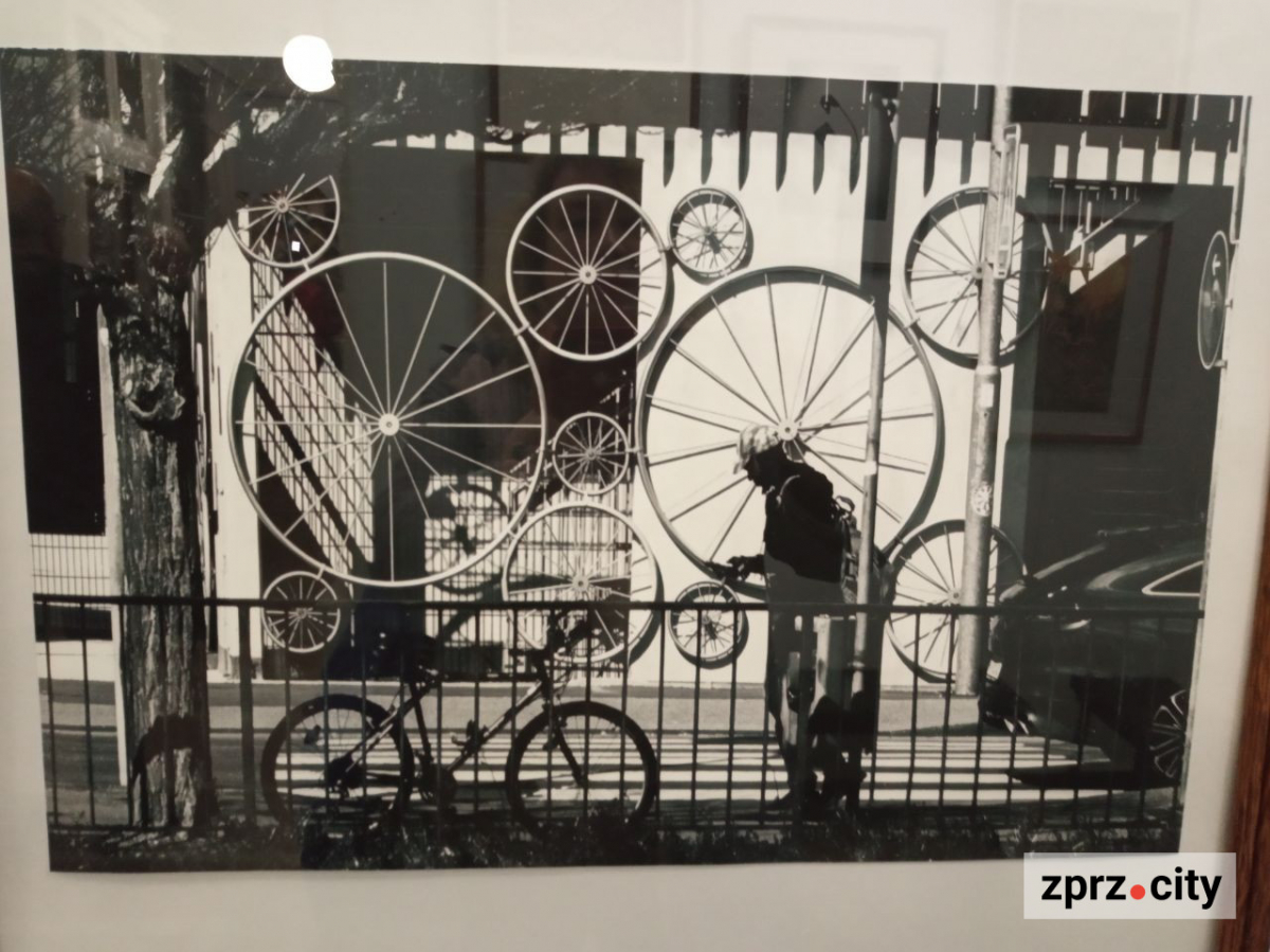 У Запоріжжі відкрили виставку найкращих світлин українських фотохудожників - вхід безкоштовний