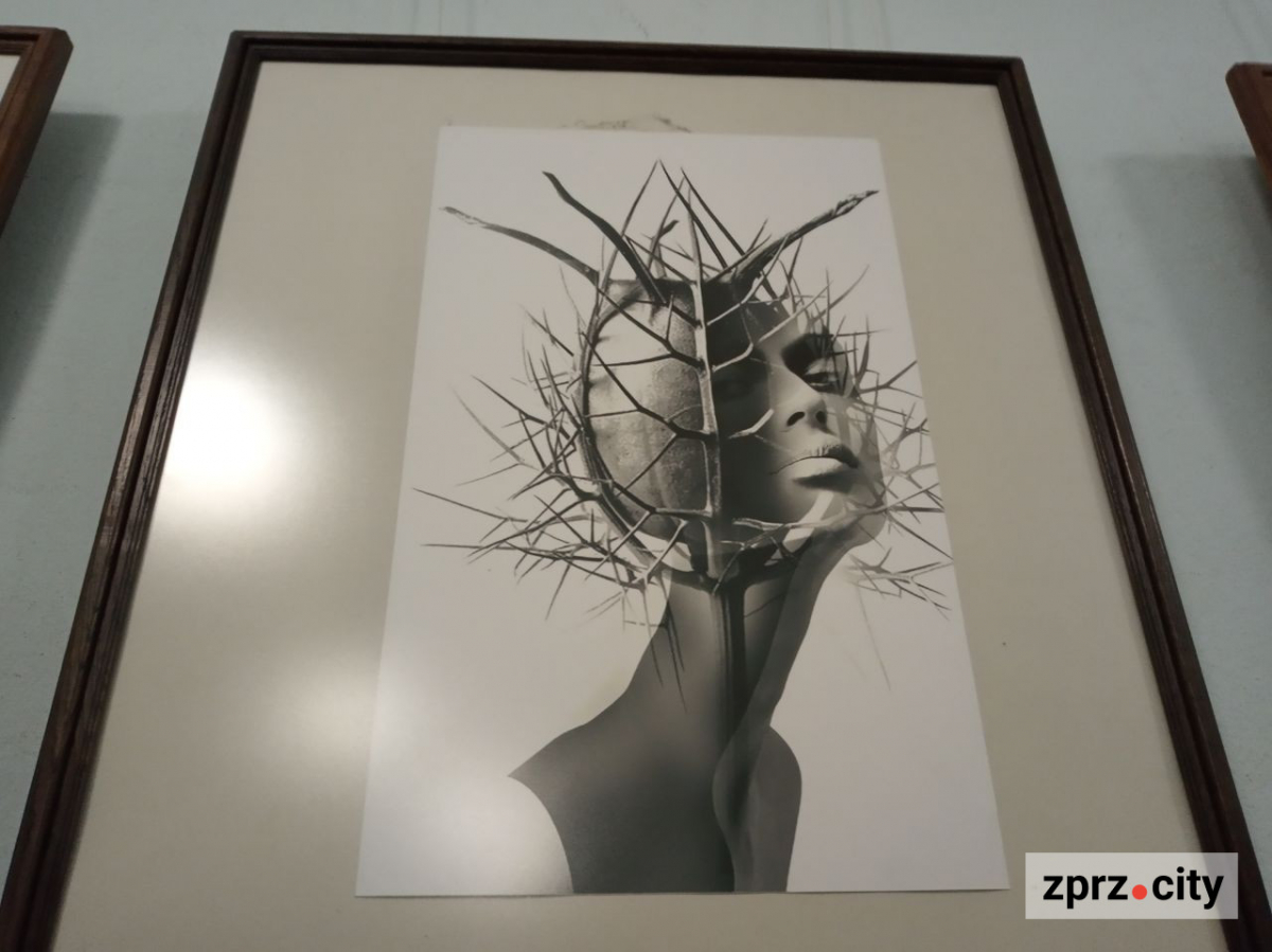 У Запоріжжі відкрили виставку найкращих світлин українських фотохудожників - вхід безкоштовний