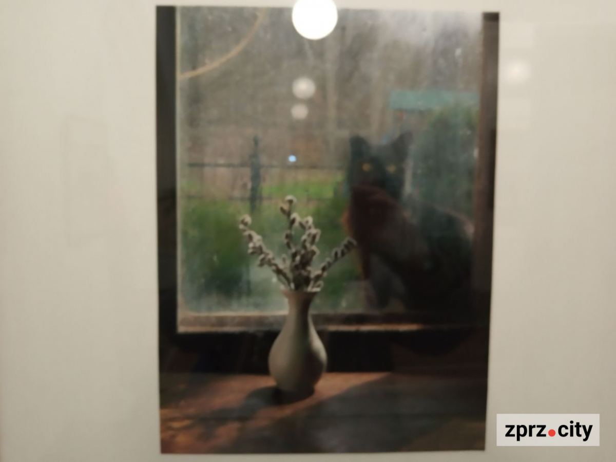 У Запоріжжі відкрили виставку найкращих світлин українських фотохудожників - вхід безкоштовний