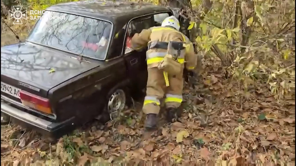 У Запоріжжі водій застряг у авто після зіткнення з деревом - як його визволяли (відео)
