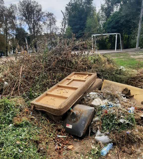 В одному з районів Запоріжжя виявили стихійне сміттєзвалище біля житлових будинків