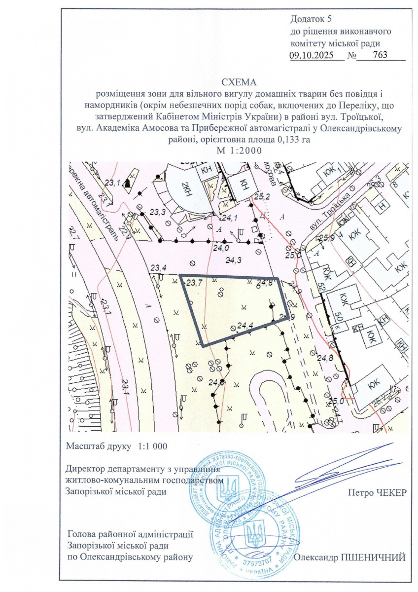 Вигул дозволено — у Запоріжжі з’явилися офіційні зони для домашніх улюбленців