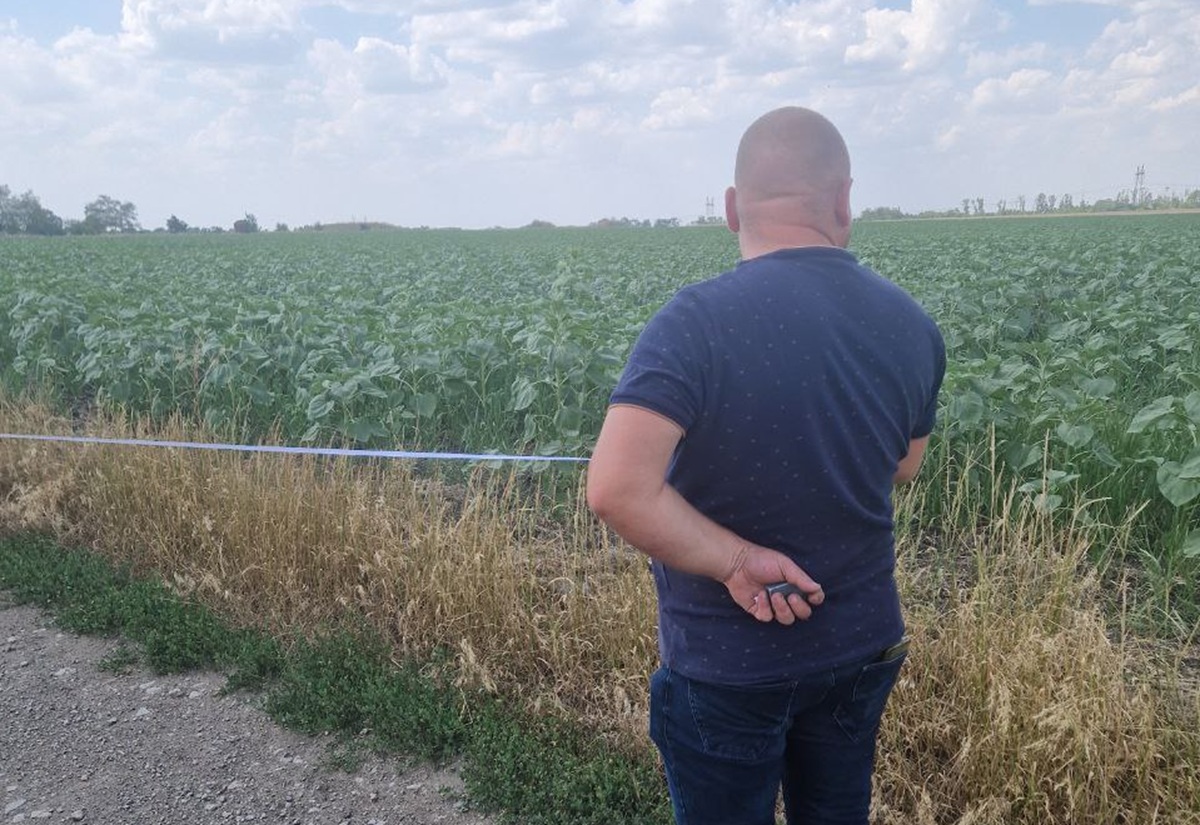 Захопили землю - заповідну територію у Запорізькому районі перетворили на сільгоспугіддя (фото)