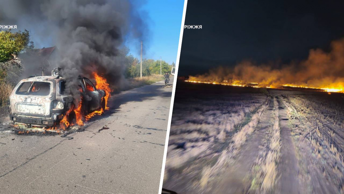 Згоріли гектари екосистем, квартири та автомобіль — у Запорізькій області через обстріли спалахнули масштабні пожежі (фото)