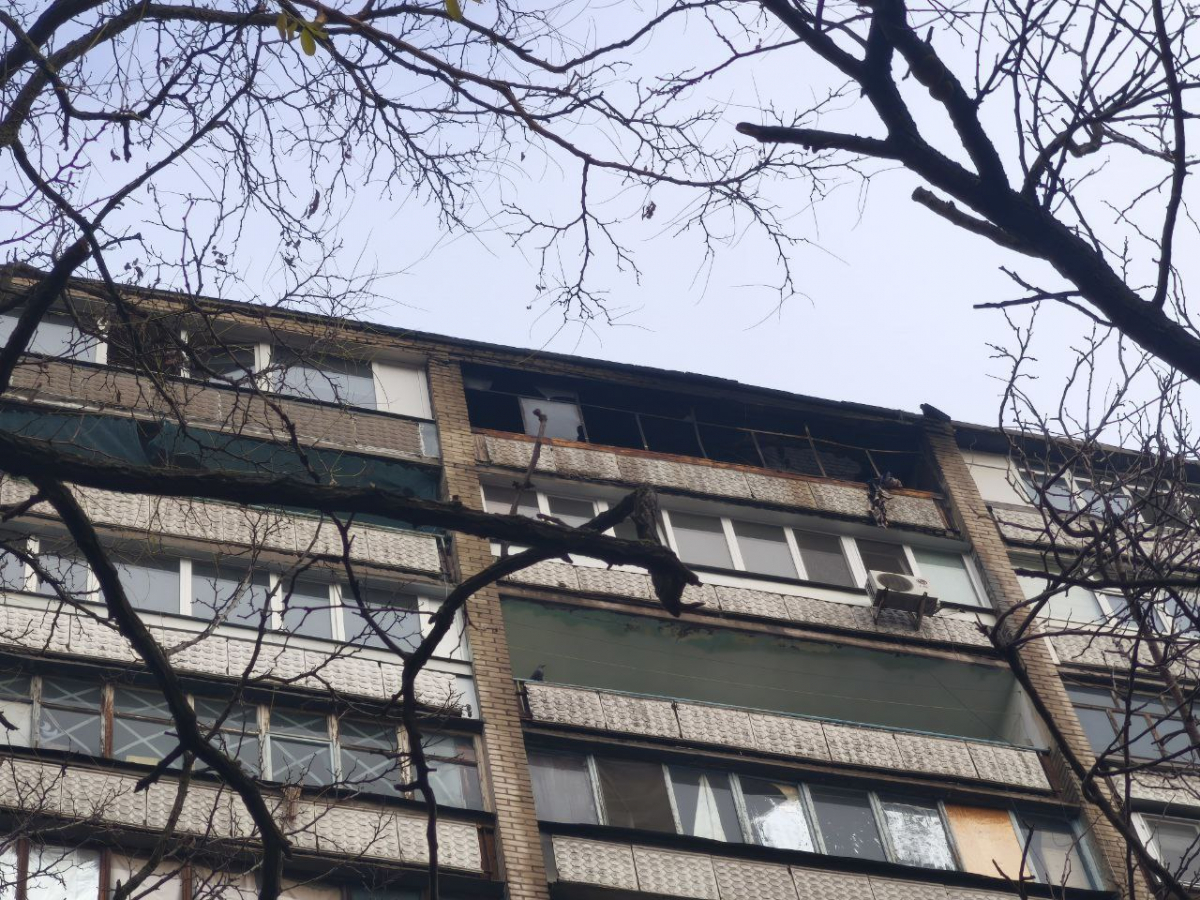 Екологи розповіли про масштабні наслідки масованої атаки дронів у трьох районах Запоріжжя - фото