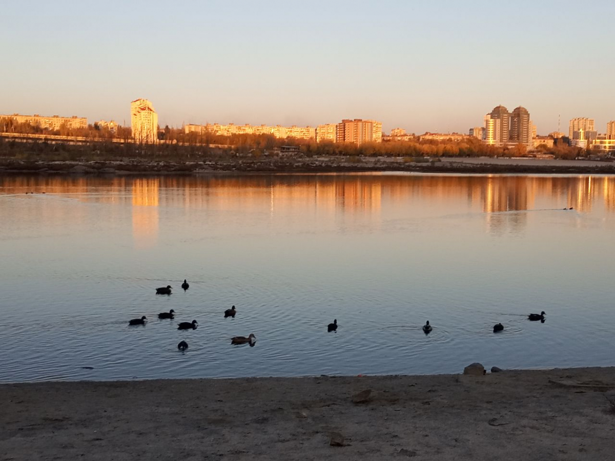 Художниці пропонують всім охочим прогулянку по Хортиці з цікавинками - участь безкоштовна