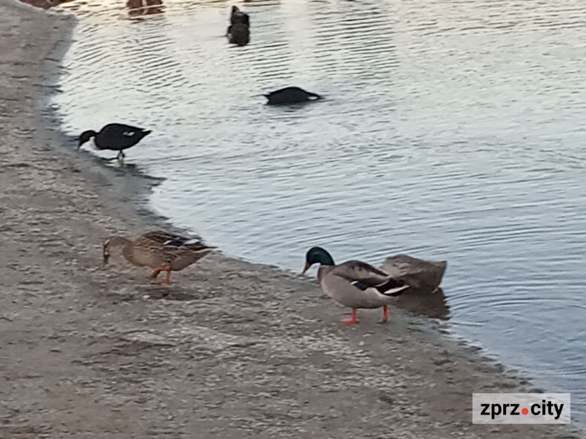 Як виглядало узбережжя Хортиці в останній день жовтня: ексклюзивний фоторепортаж