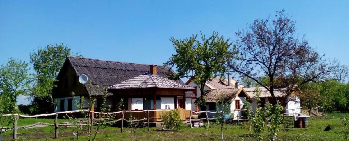 Квізи, що лікують - як у Запоріжжі допомагають ветеранам повернути радість життя