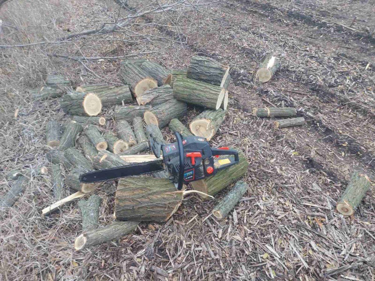Напиляти дров непомітно не вийшло - у Запорізькому районі екологи натрапили на браконьєра (фото)